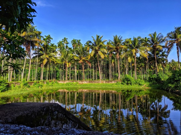 Mesmerizing Kerala